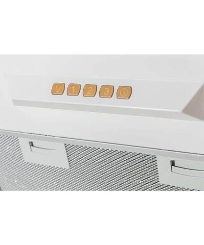 Купольная вытяжка FEODORA 60 C B