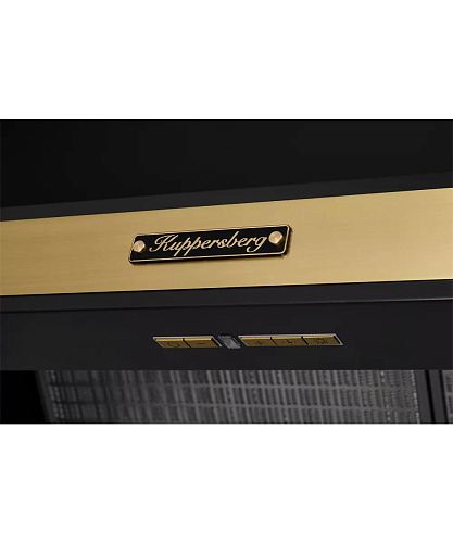Купольная вытяжка T 969 ANT Bronze