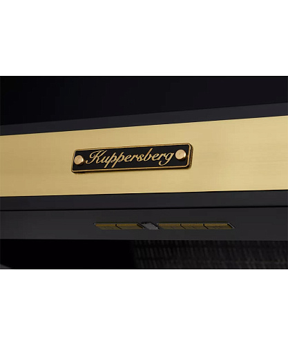 Купольная вытяжка T 669 ANT Bronze
