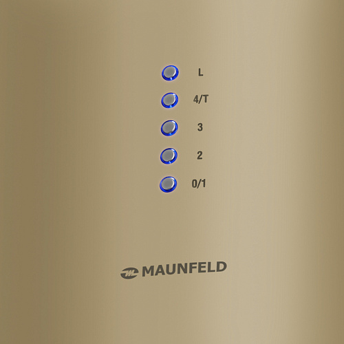 Кухонная вытяжка MAUNFELD Lee Wall C 39